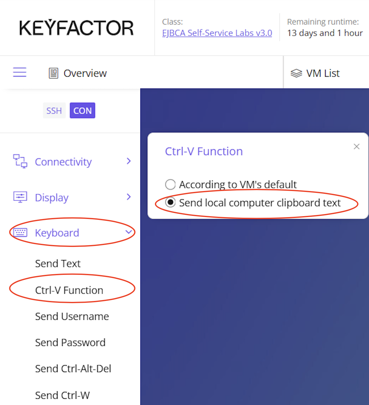 Screenshot 2025-06-12 at 12.43.32 PM.png