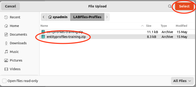EndEntity screenshot.png